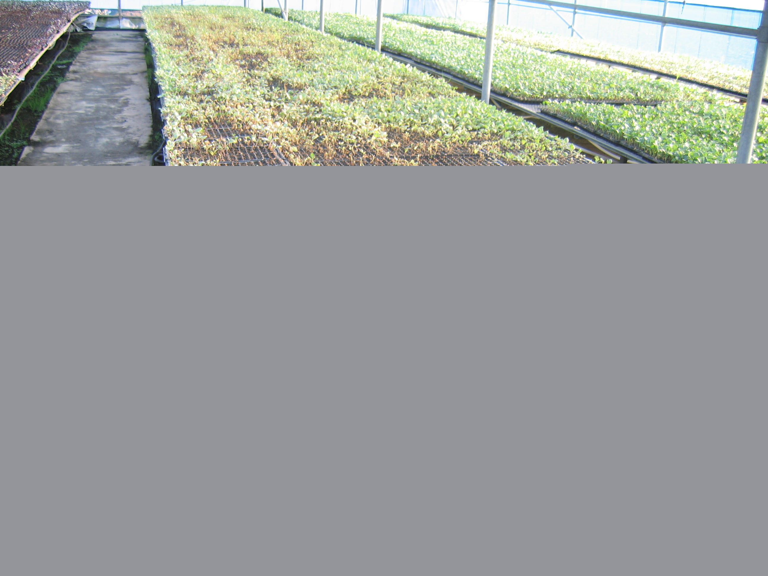 2012 새해 농업인 실용교육(남원농협)